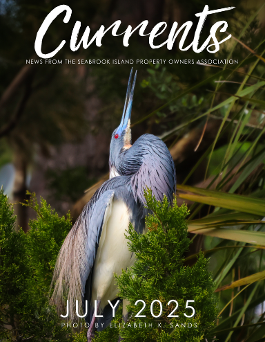 July 2025 Issue of Currents – Tidelines