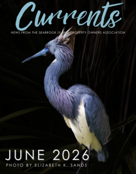 June 2026 Issue of Currents – Tidelines